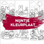 Nijntje ft