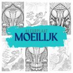 moeilijk ft