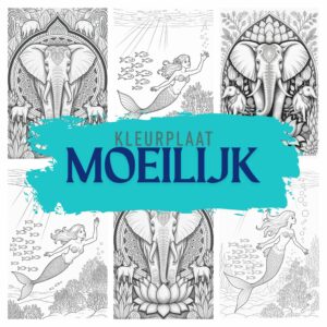 moeilijk ft