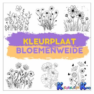 kleurplaat-bloemenweide