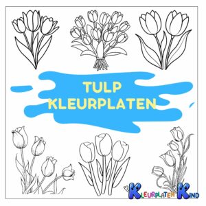 tulp-kleurplaten