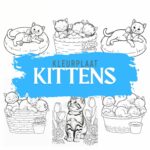 Kleurplaat kittens