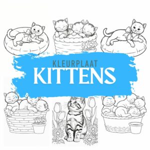 Kleurplaat kittens