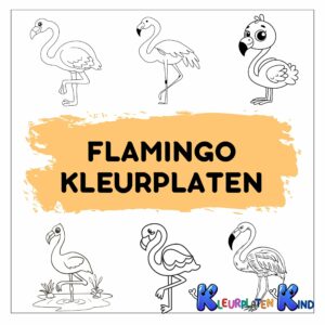 Flamingo-kleurplaten