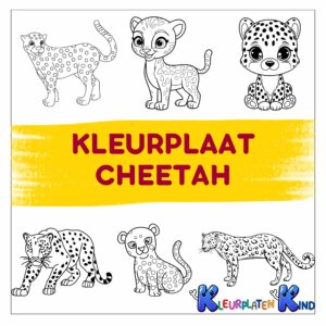 Kleurplaat-cheetah