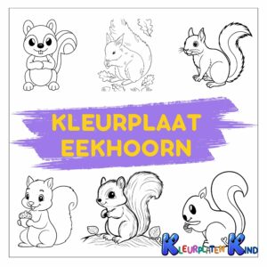 Kleurplaat-eekhoorn