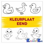 Kleurplaat-eend
