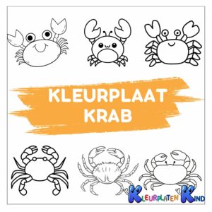 Kleurplaat-krab