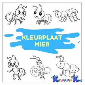 Kleurplaat-mier