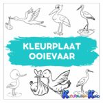 Kleurplaat-ooievaar
