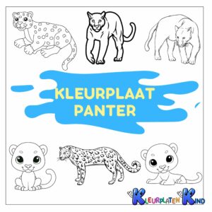 Kleurplaat-panter