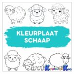 Kleurplaat-schaap