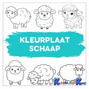 Kleurplaat-schaap