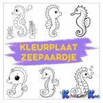 Kleurplaat-zeepaardje