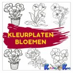 Kleurplaten-bloemen