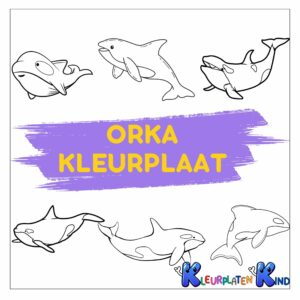 Orka-kleurplaat