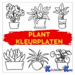Plant-kleurplaten