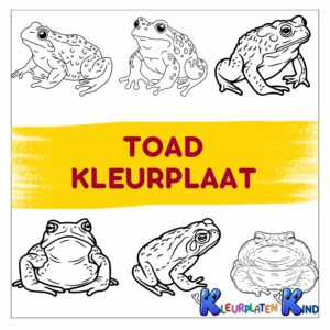 Toad-kleurplaat