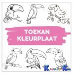 Toekan-kleurplaat