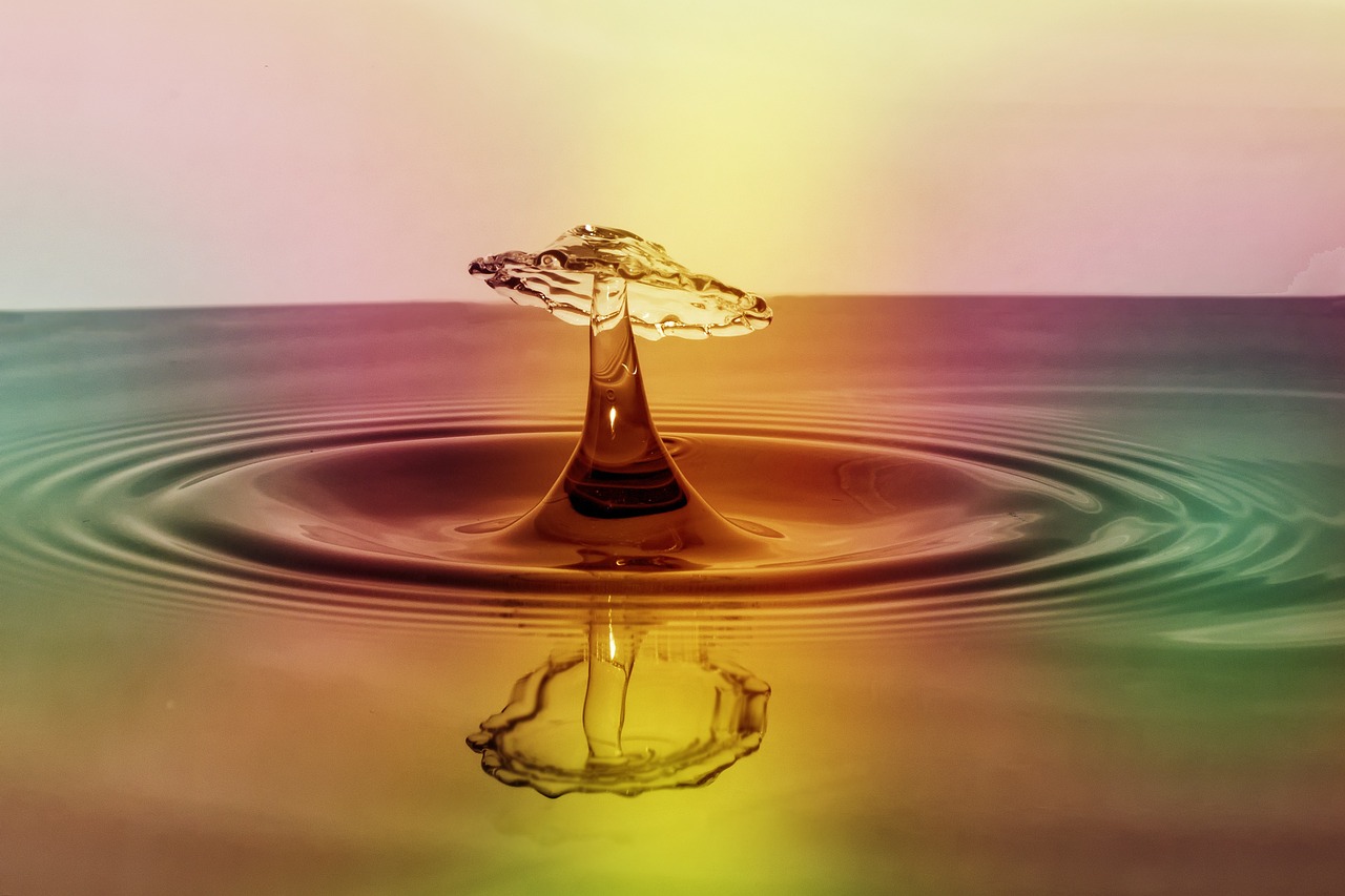 Understanding Emotional Intelligence and Its Impact