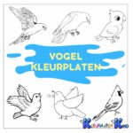 Vogel-kleurplaten