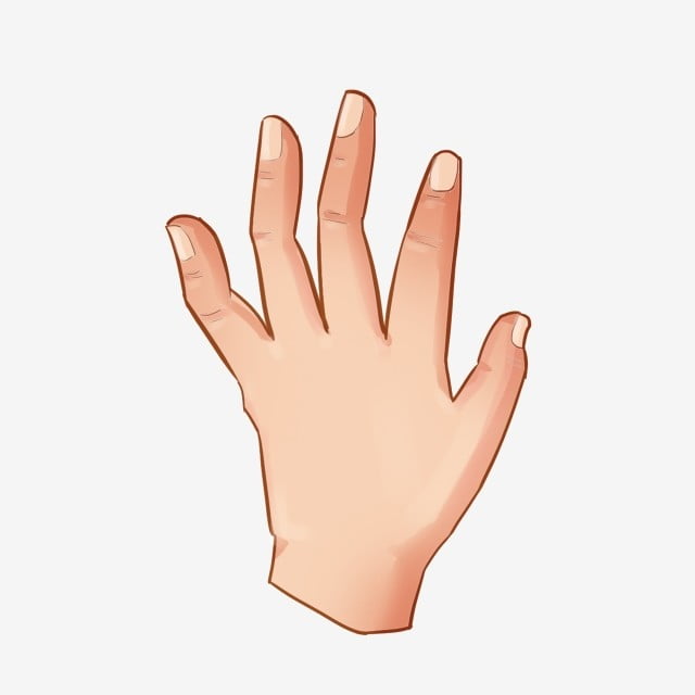 Hand kleurplaat