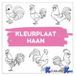 kleurplaat-haan