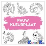 pauw-kleurplaat