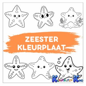 zeester-kleurplaat