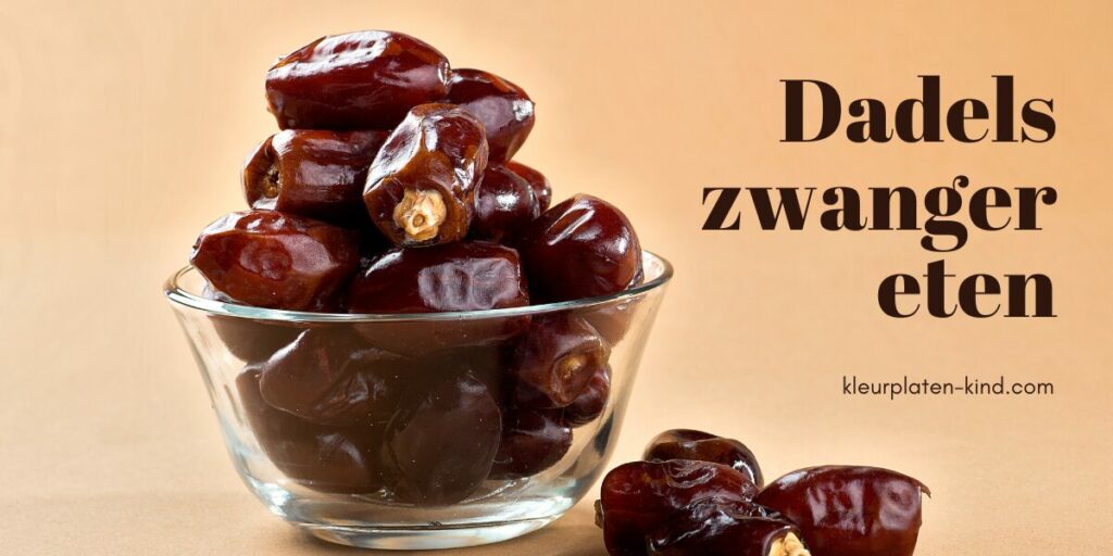 Dadels zwanger eten cover