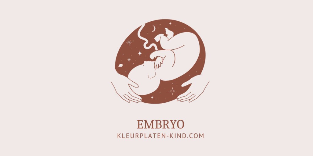 Embryo cover