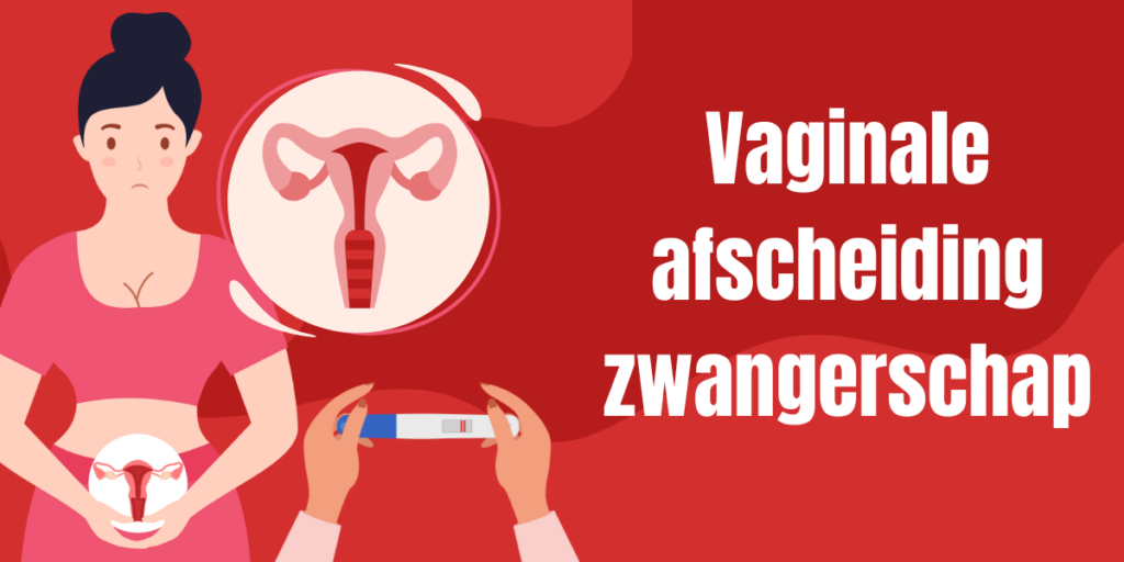 Vaginale-afscheiding-zwangerschap