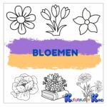 Bloemen