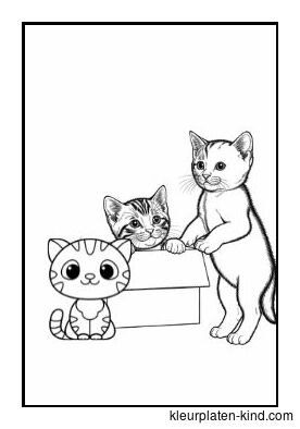 drie-kittens-die-uit-een-doosje-springen-1d3332b0-dffb-45b9-a202-90e692cd9076.jpg