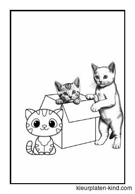 drie-kittens-die-uit-een-doosje-springen-9ec0c3ce-a915-4a71-9cd9-42c802c82107.jpg