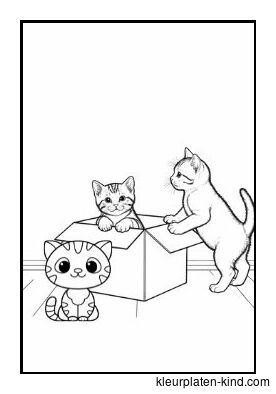 drie-kittens-die-uit-een-doosje-springen-bc84e028-674e-49ed-a4be-4f128151681d.jpg