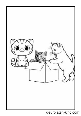 drie-kittens-die-uit-een-doosje-springen-e56068da-545f-4432-93b7-f8a028981fd2.jpg