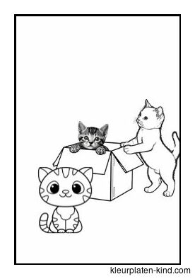 drie-kittens-die-uit-een-doosje-springen-fa5672dc-0138-4758-9f19-740c2994e196.jpg