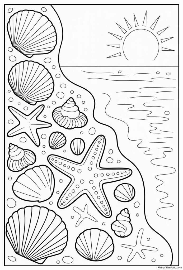 f09f909a-schelpen-en-zeesterren-verspreid-over-het-zand-46cee237-580a-461a-a865-f31bd52b5ad7.png