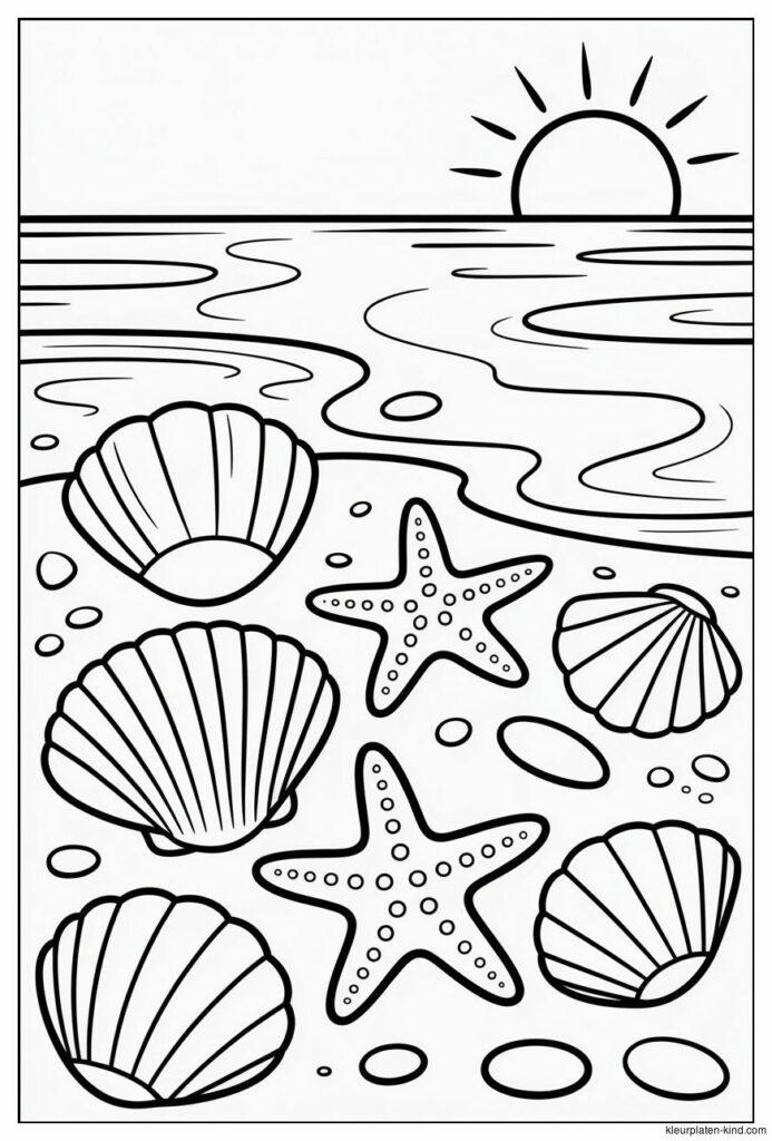 f09f909a-schelpen-en-zeesterren-verspreid-over-het-zand-6ba364ba-04f9-47bd-b93a-b22ac29cad8f.png