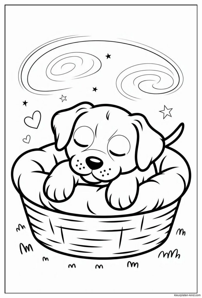 honden-kleurplaat-waarin-een-hond-in-een-mandje-ligt-te-slapen-d6d6d477-dd23-4268-b0cc-cb59ebde6840.png