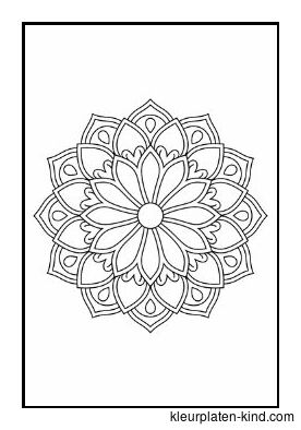 mandalas-ingewikkelde-patronen-om-te-kleuren-voor-ontspanning-66fbd1c9-c140-4949-92e9-fc8373b8093c.jpg