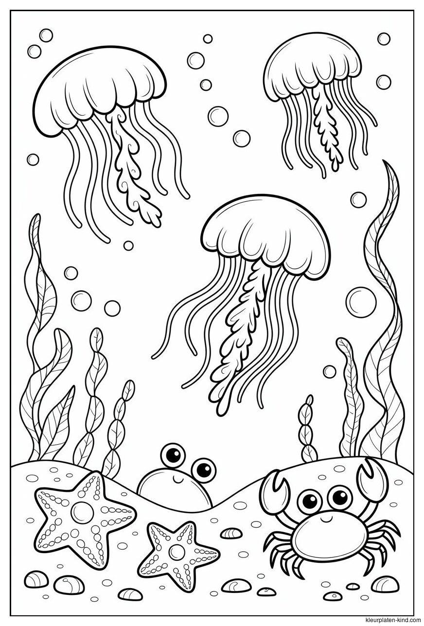 onderwaterwereld-kleurplaat-vol-met-kwallen-zeesterren-en-kleine-krabbetjes-3da8bebc-eed8-412f-901a-650ba9f7e40c.png