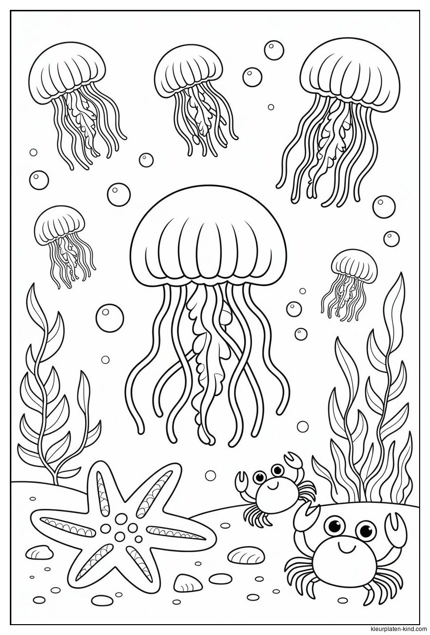 onderwaterwereld-kleurplaat-vol-met-kwallen-zeesterren-en-kleine-krabbetjes-46ae6e23-7817-42ed-bd11-ca8f6f57ef59.png