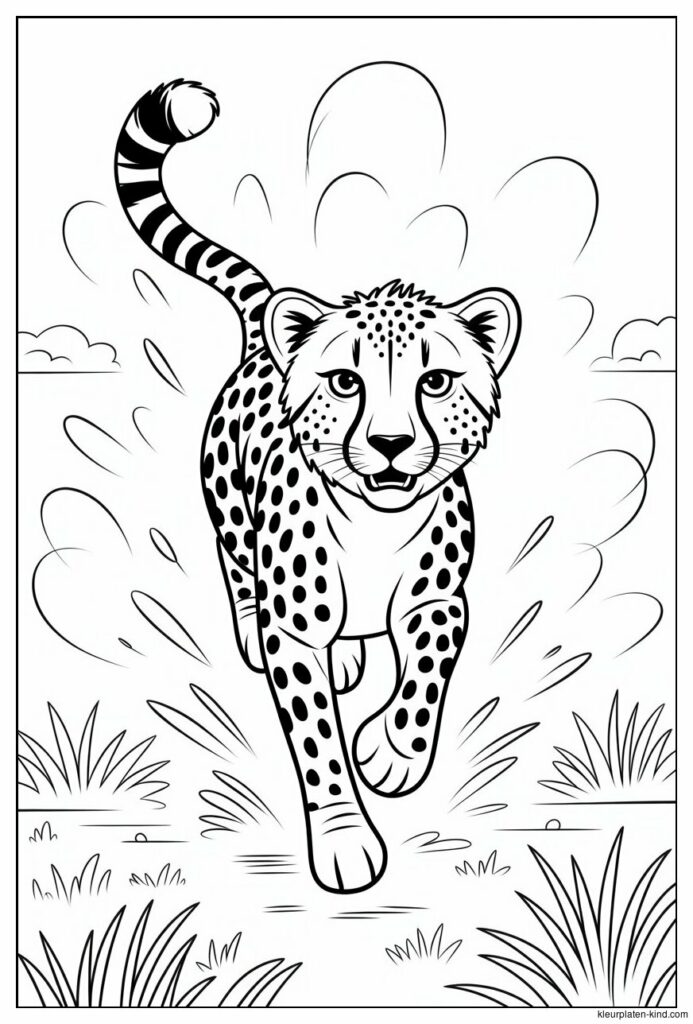 cheetah-die-in-volle-snelheid-door-de-savanne-rent-met-een-blazende-stofwolk-f141eac9-35e8-479e-a899-439e816c9463.jpeg