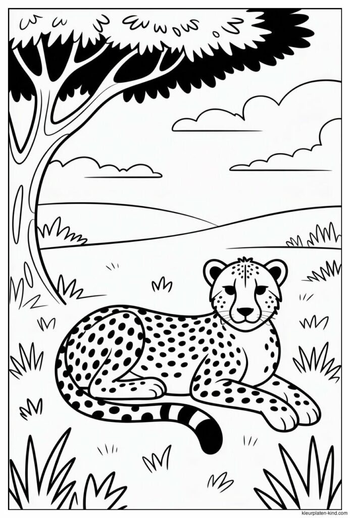 cheetah-die-rustig-in-het-gras-ligt-te-rusten-onder-de-schaduw-van-een-boom-ad9e7f66-0108-4bf0-82e9-5df696bc9e1b.jpeg