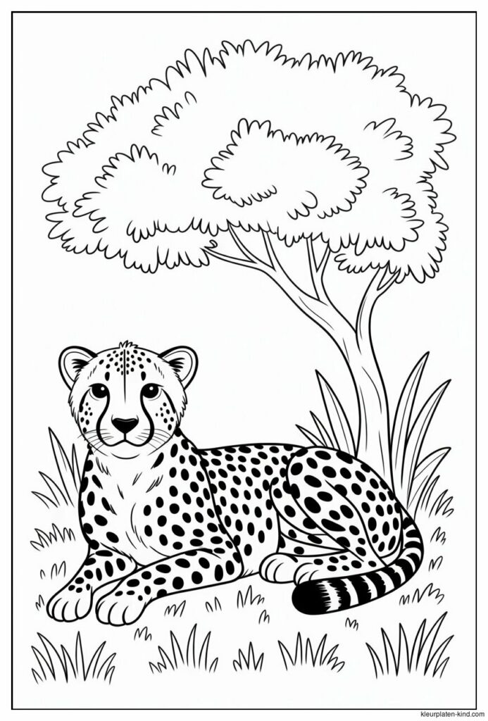 cheetah-die-rustig-in-het-gras-ligt-te-rusten-onder-de-schaduw-van-een-boom-b9ab29a5-d196-4bd5-8441-31b4cf5558d2.jpeg