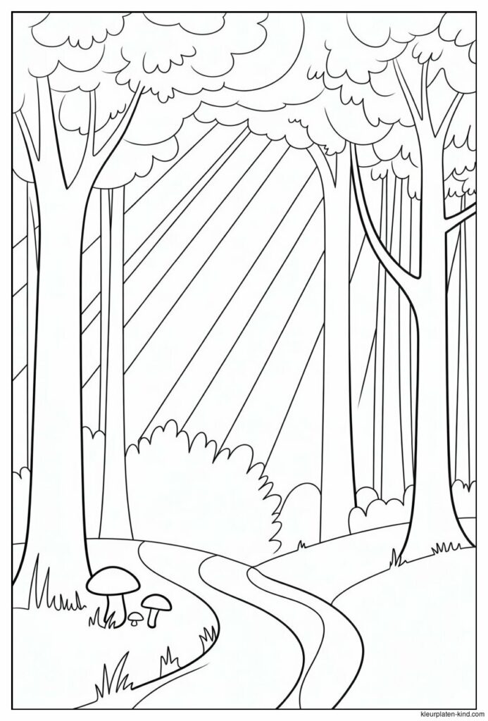 dichtbegroeid-bos-met-zonnestralen-die-tussen-de-bladeren-door-schijnen-c08724d7-6b44-455c-84e5-2e932befe2ae.jpeg
