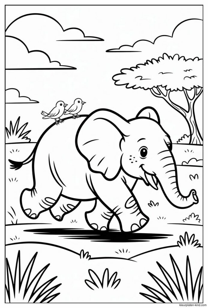 grote-olifant-die-rustig-door-de-savanne-loopt-met-vogels-op-zijn-rug-980df106-be52-4fd9-baac-5b916239e89a.png