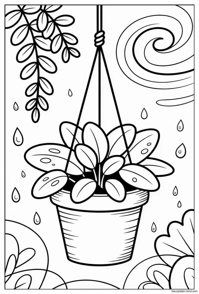kleine-plant-in-een-hangpot-met-wat-waterdruppels-aan-de-bladeren-7def7b86-38d2-4676-8f56-1fcf63a632ee.png